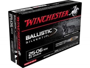 Winchester 25-06