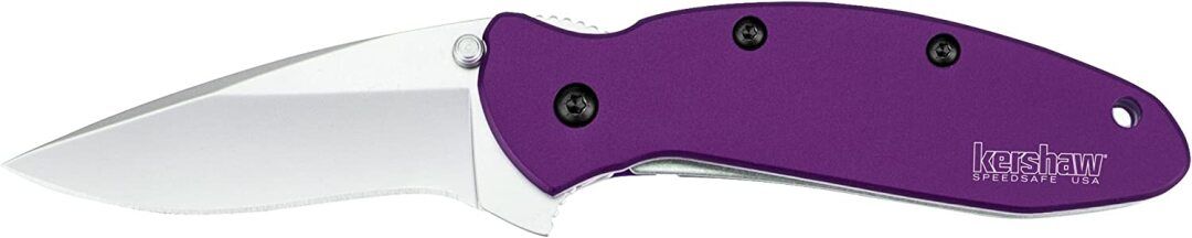 Kershaw 1620PUR - Scallion- Purple