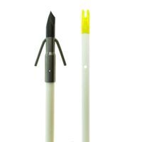 White Fish Arrow with Carp Point w/ Slide