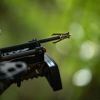 Hypodermic Crossbow NC 2"